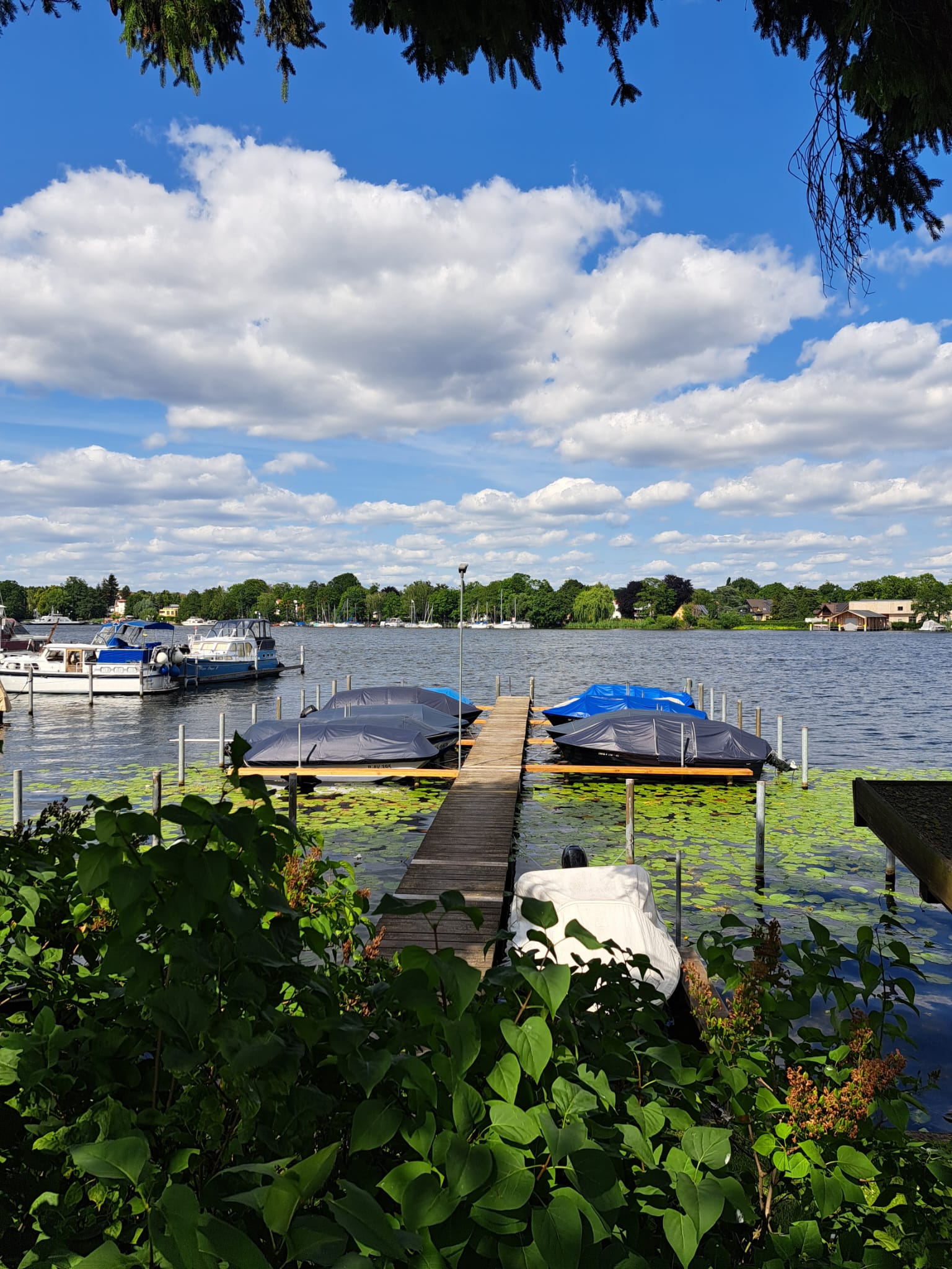 whatsapp image 2026 01 11 at 11.18.55